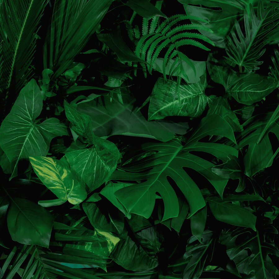 Botanical skincare